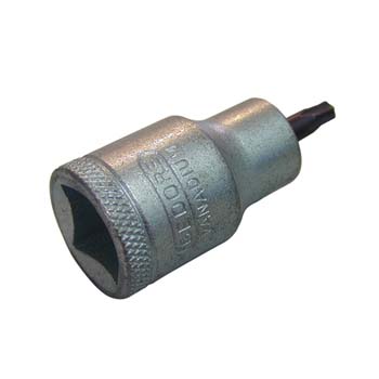 Boca torx con vaso de 1/2